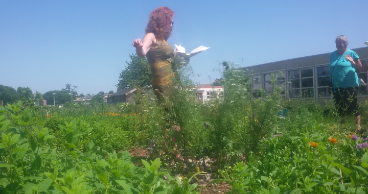 Rondleiding geneeskrachtige planten